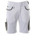 Mascot 183-230 Shorts 